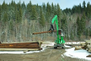 The stability and smooth pulling power of the 830 M-T is well suited to the 1/2 mile circuits in the log yard. 