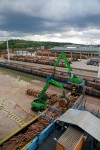 Working closely to achieve continuous loading for the chipping line: Two stationary SENNEBOGEN 835 electric material handlers and a mobile 735 "pick & carry" machine at Mondi in Štětí, CZ.