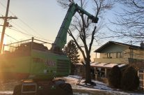 New SENNEBOGEN 718 Tree Care Handler Is A Crowd-pleaser For Abler Tree Company